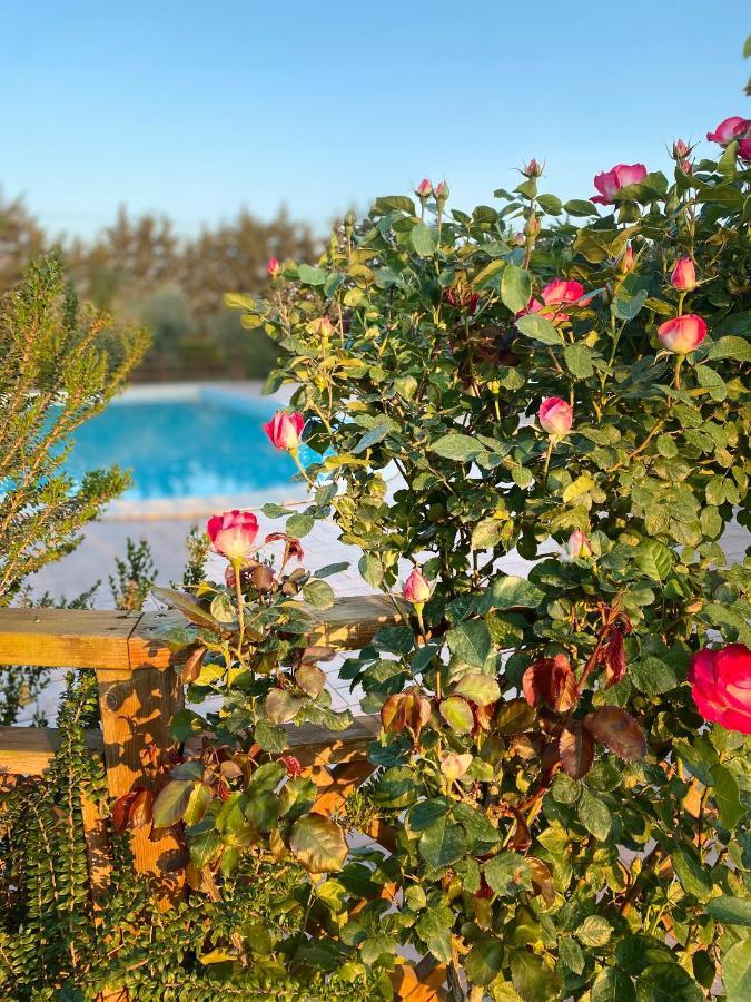 Agriturismo Le Giare Bagno Roselle Buitenkant foto